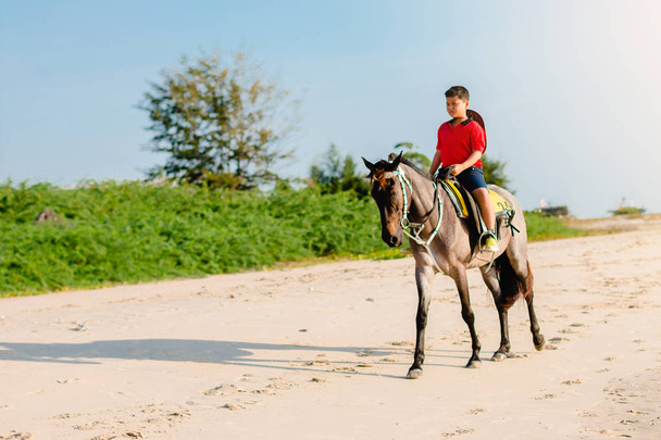 horse ride on the beach on a sunny day. - Photo, Image
