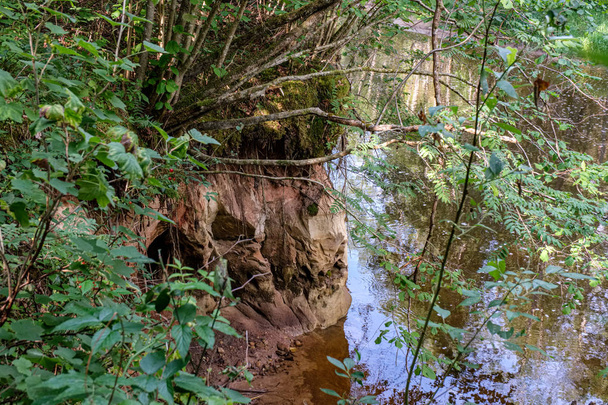木の枝の後ろに隠れる穏やかな森林の川 - 写真・画像