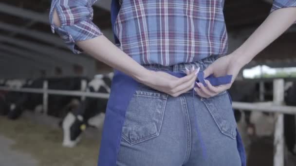 Unrecognizable young female worker on the cow farm tying an apron before getting to work. Agriculture industry, farming and animal husbandry concept - Materiał filmowy, wideo