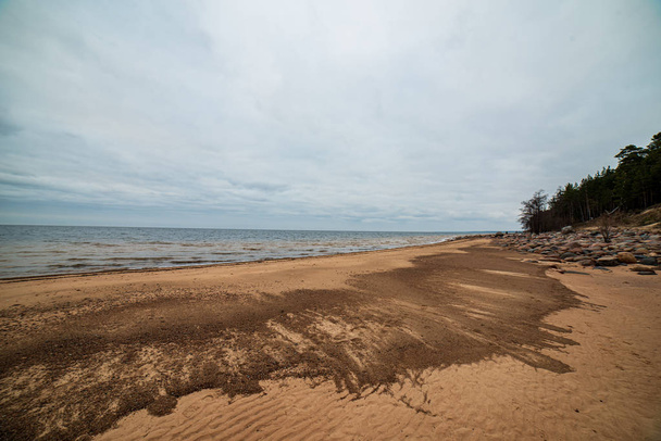 самотній порожній морський пляж з білим піском, великими скелями і старим деревом
 - Фото, зображення
