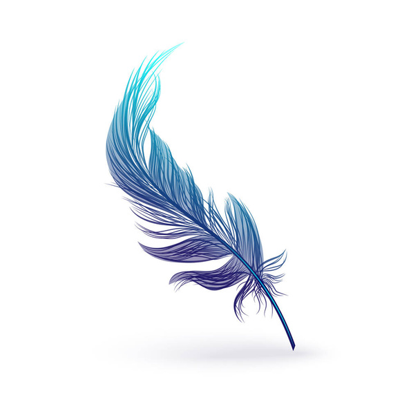 Beautiful fantastic feather with bird wing. - Vector, Image