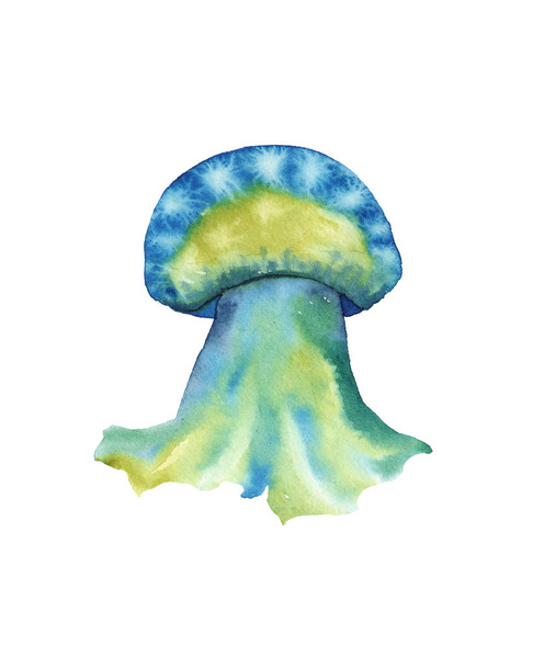 kék és sárga medúza akvarell illusztráció. Medusa festés izolált fehér háttér, színes tetoválás design - Fotó, kép