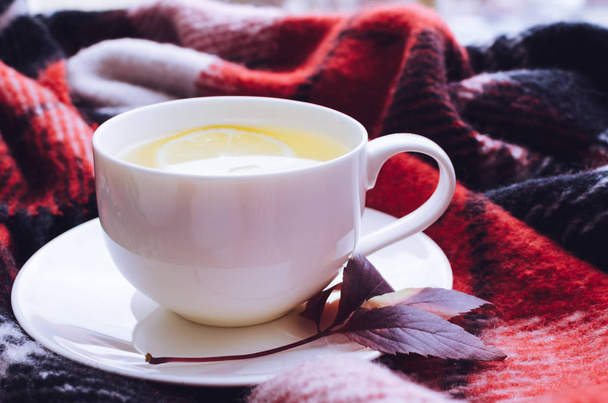 чашка осеннего чая
 - Фото, изображение