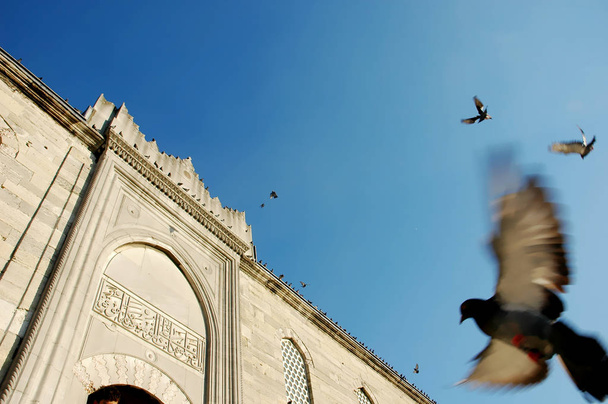 Yeni Camii, New Mosque, istanbul, Turkey - Фото, изображение