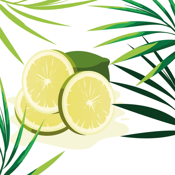 Plátky citronů a ilustratio - Vektor, obrázek