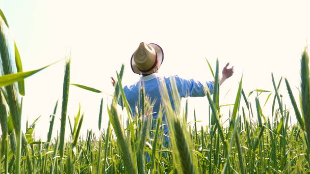 Porträt eines jungen Mannes in Arbeitsuniform und Strohhut inmitten eines Feldes rund um Weizen und Heu, der herumläuft und den Weizen auf Reife überprüft, Hitzefeld in Hemd und Strohhut atmet die frische Luft und fühlt sich frei.  - Foto, Bild