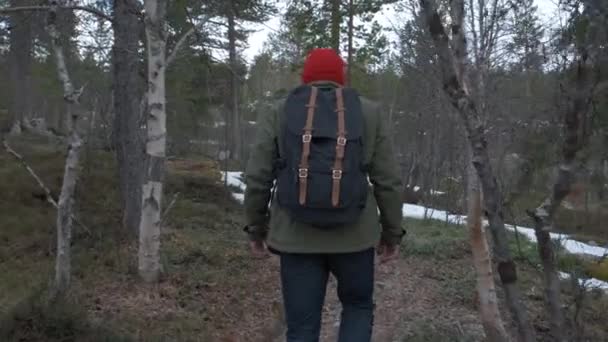カジュアルな男の背後からの眺めは、秋の森を一人で歩いて、外で過ごします。静かな一日の屋外を楽しむバックパックを持つ男. - 映像、動画