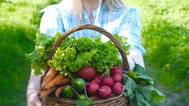 ein Mädchen, eine Bäuerin (blond, im Hemd) hält einen Korb mit Gemüse, Radieschen, Salat, Gemüse, Gurken, Karotten, bioaromatisierten Lebensmitteln in der Hand. - Foto, Bild