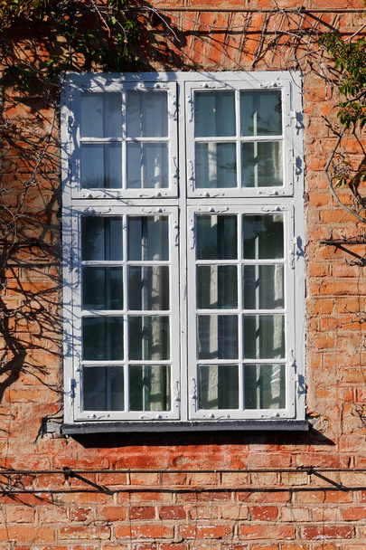 Closed window - Φωτογραφία, εικόνα