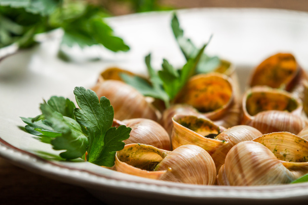 Closeup of baked snails with garlic butter - Foto, afbeelding
