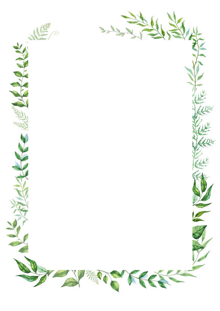 Herbal mix vector frame. Hand painted plants, branches and leaves on white background. Natural card design. - Vektör, Görsel