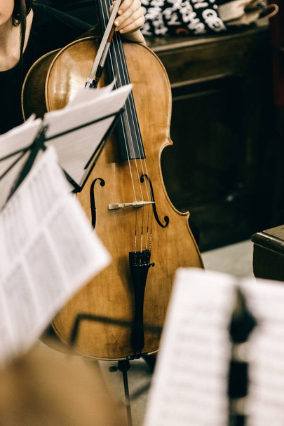 Виолончель, которую держит музыкант во время перерыва в классическом мусе
 - Фото, изображение