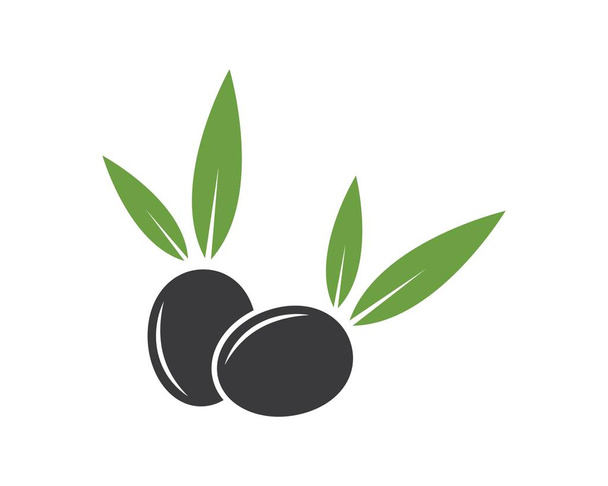 modèle de logo olive vecteur
  - Vecteur, image