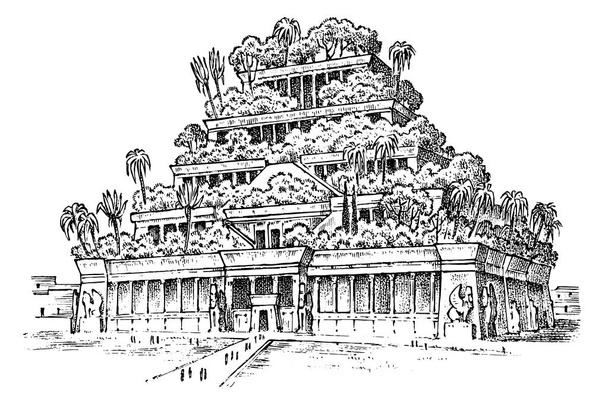 Επτά θαύματα του αρχαίου κόσμου. Κρεμασμένος Κήπος της Βαβυλώνας. Η μεγάλη κατασκευή των Ασσυριων. Χαραγμένο στο χέρι vintage σκίτσο. - Διάνυσμα, εικόνα
