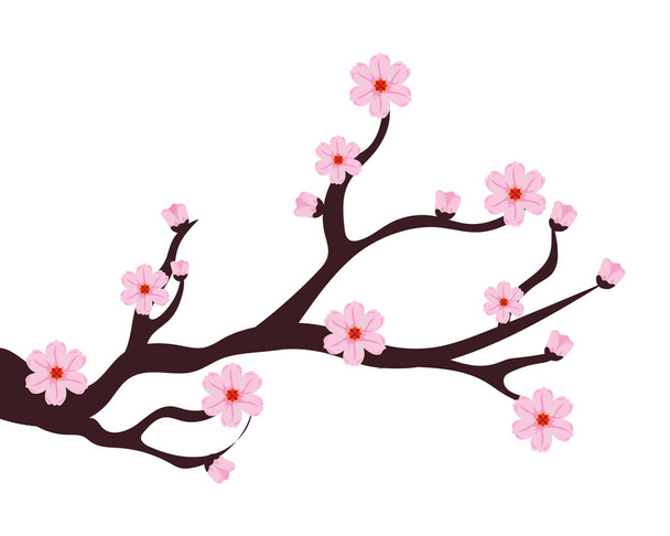 Cseresznyevirág-ág - Vektor, kép