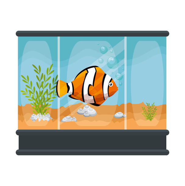 Quadratisches Aquarium mit bunten Fischen - Vektor, Bild