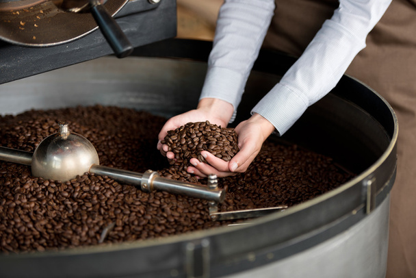 roasted coffee beans in a woman's hand - Fotoğraf, Görsel
