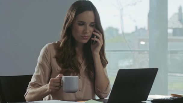 Geschäftsfrau arbeitet am Computer am Arbeitsplatz. Porträt einer telefonierenden Dame. - Filmmaterial, Video