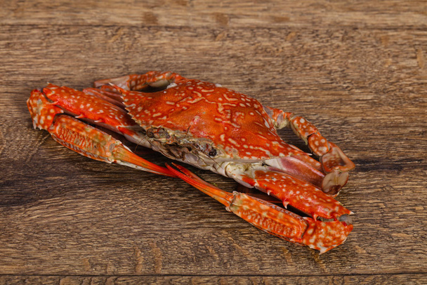 Boiled crab - ready for eat - Фото, зображення
