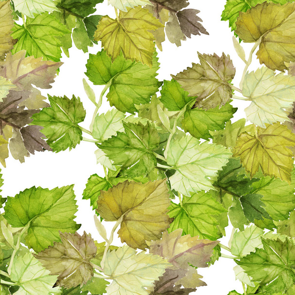 Vine. Grape leaves seamless pattern. - Foto, Imagen