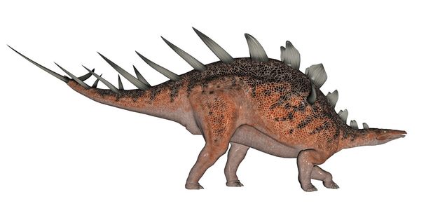 Kentrosaurus dinosaurio
 - Foto, Imagen