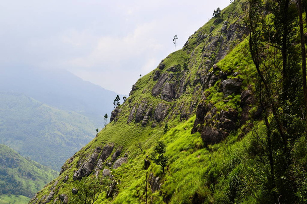 Rocky mountains with bright green grass. Fresh spring colors landscape. Tropical mountains wallpaper. Ella, Sri Lanka - Zdjęcie, obraz