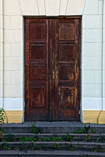 Staré dřevěné dveře na šedivé stěně s trávou pokryté prahovým krokem - Fotografie, Obrázek