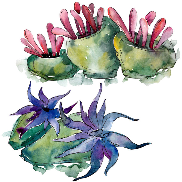 Recifes de corais aquáticos subaquáticos coloridos. Conjunto de fundo aquarela. Elemento isolado de ilustração de coral
. - Foto, Imagem