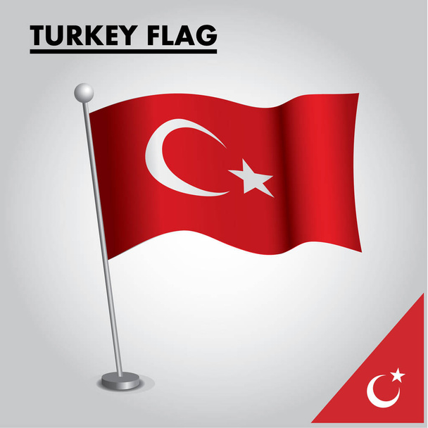 Національний прапор Туреччини на полюсі - Вектор, зображення