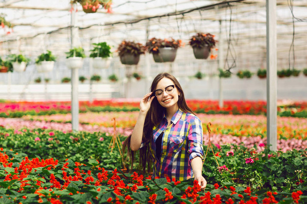 Una giovane ragazza con gli occhiali si prende cura dei fiori di Salvia in una serra
 - Foto, immagini