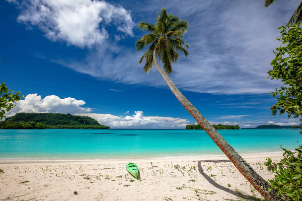 Porto Orly praia de areia com palmeiras, Espiritu Santo Island, Va
 - Foto, Imagem