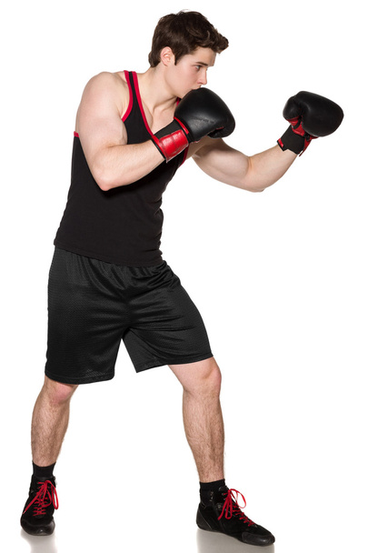Boxer - Foto, Bild