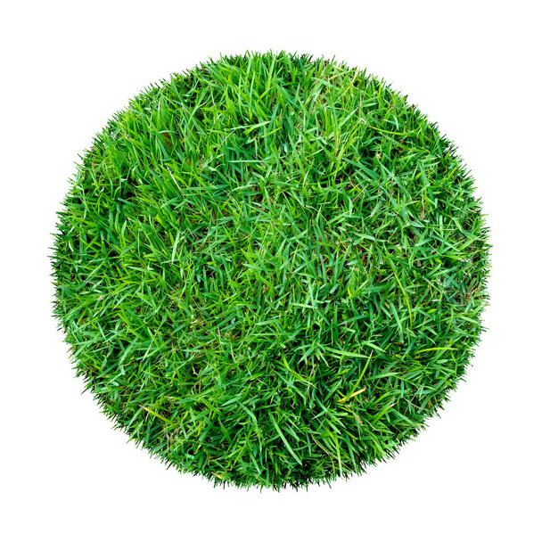 Texture abstraite d'herbe verte pour le fond. Cercle motif d'herbe verte isolé sur un fond blanc avec chemin de coupe. - Photo, image