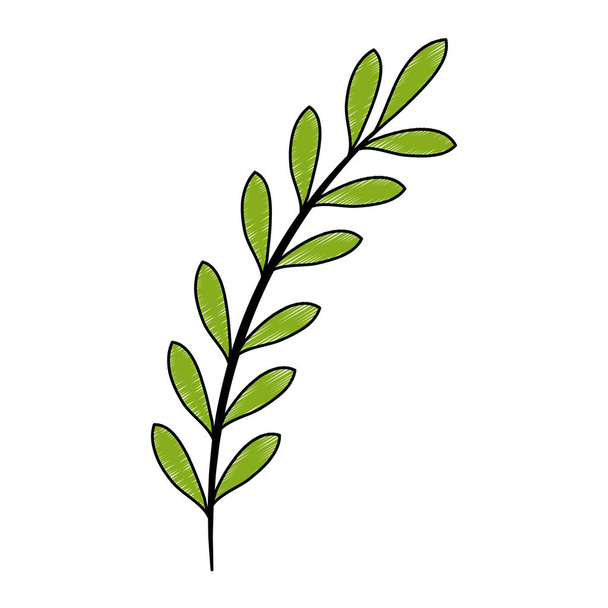leaf of marine plant - Vektor, kép