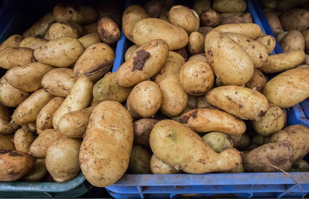 Πατάτες στην σούπερ μάρκετ - Φωτογραφία, εικόνα