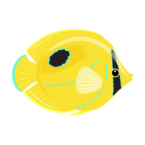 Butterfly fish on white background. Cartoon. Bennett butterfly fish.Tropical aquarium fish. - ベクター画像