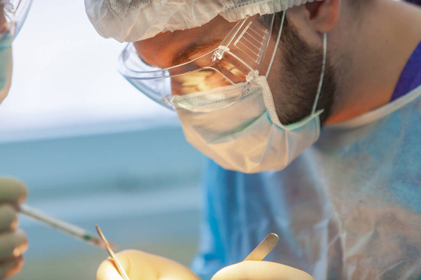 Baldness treatment. Hair transplant. Surgeons in the operating room carry out hair transplant surgery. Surgical technique that moves hair follicles from a part of the head. - 写真・画像
