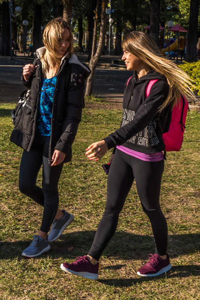 Τρεις νεαρές γυναίκες συναντιούνται στο πάρκο, χαιρετούν ο ένας τον άλλον και είναι ευτυχείς να συναντήσουν - Φωτογραφία, εικόνα