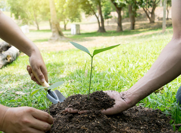 Mladý muž sadí stromy, aby zvýšili množství kyslíku - Fotografie, Obrázek