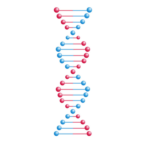 Μόριο διανυσματικού DNA, δομή με χρωμοσώματα. Σπείρα έλικα Wi - Διάνυσμα, εικόνα