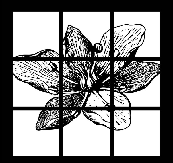 Szczegółowy szkic wektor tropikalny kwiat zbliżenie. Styl botanika-Płaska konstrukcja kwitnącego kwiatu. Pomysł na kwiat tatuaż - Wektor, obraz