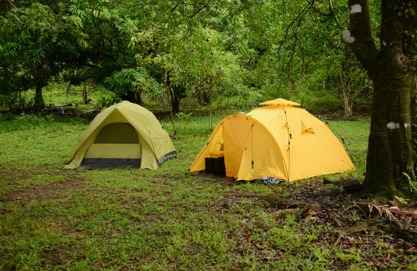 due tende su lussureggiante campeggio verde
 - Foto, immagini