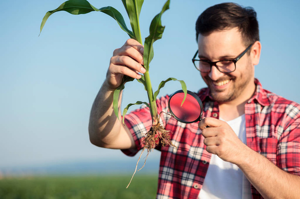 Щасливий молодий агроном або фермер, який вивчає корінь рослини молодої кукурудзи зі збільшувальним склом
 - Фото, зображення