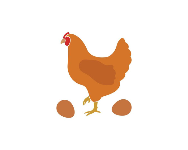 chicken vector illustration - Vector, Image