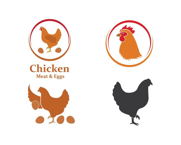 εικονογράφηση φορέας κοτόπουλο - Διάνυσμα, εικόνα