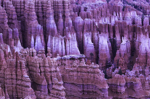 Bryce Canyon. - Foto, Imagem