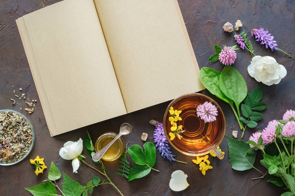 Medicinal herbs and plants, open blank paper book. Glass mug of healthy herbal tea and small honey jar. Top view.  - Фото, зображення