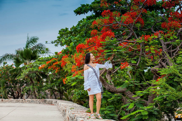 Beautiful woman on white dress walking alone at the walls surrounding the colonial city of Cartagena de Indias - Φωτογραφία, εικόνα