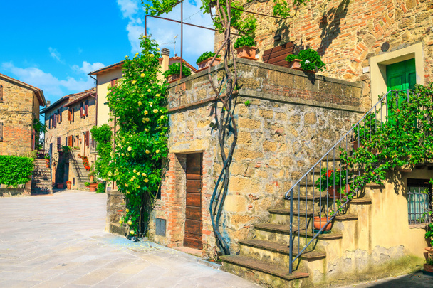 Rua da Toscana e casas de pedra rústicas decoradas com rosas, Monticchiello
 - Foto, Imagem