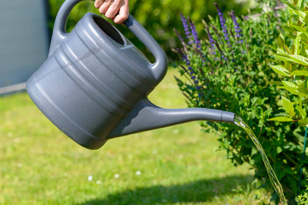 Frau gießt ihren Garten mit der Gießkanne - Foto, Bild